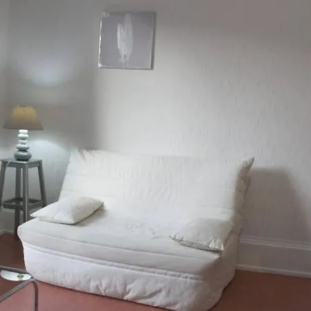 דירה Le Volcan Au Wifi 42m2 Face Au Parc *