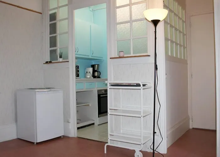 Le Volcan Au Wifi 42m2 Face Au Parc * Châtel-Guyon