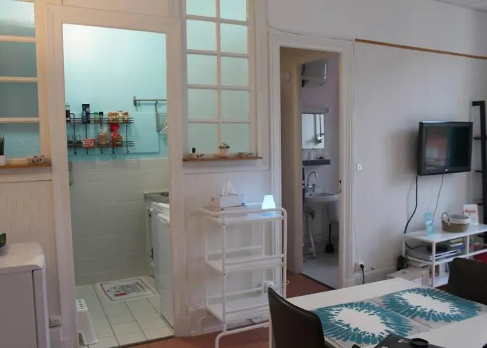 Appartamento Le Volcan Au Wifi 42m2 Face Au Parc *