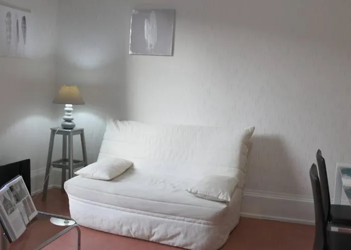 Appartamento Le Volcan Au Wifi 42m2 Face Au Parc *