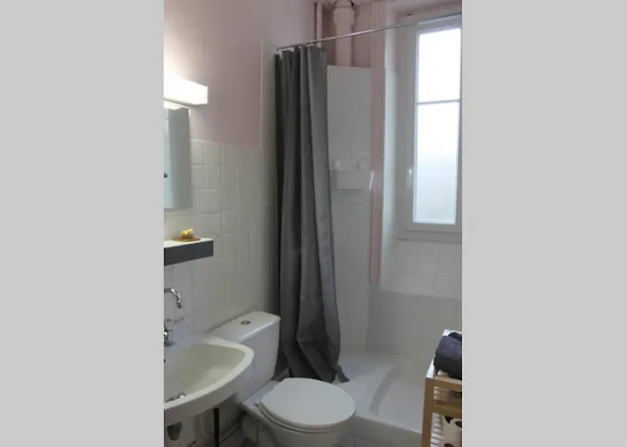 Le Volcan Au Wifi 42m2 Face Au Parc * Châtel-Guyon